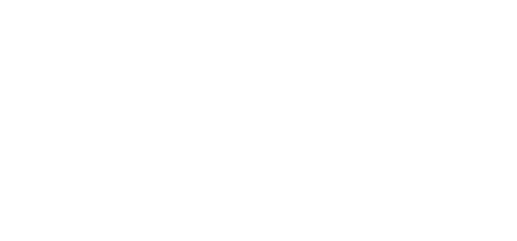 Logo Pintumex Blanco