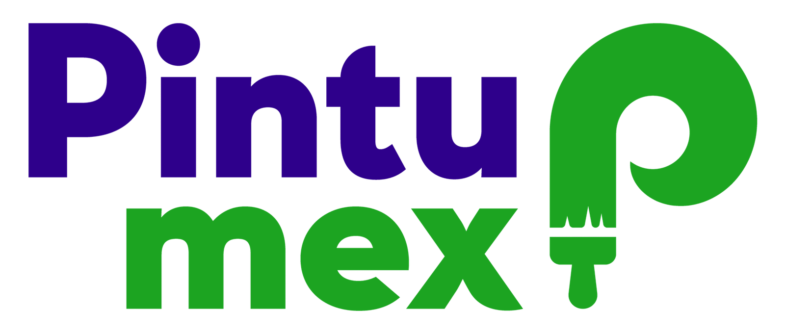 Pintumex Logo 2024