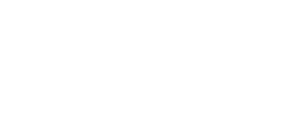 Pintumex Logo Blanco